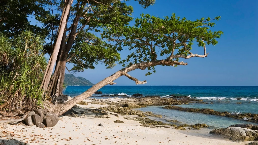 Download Seashore Spanshot Nature Wallpapers