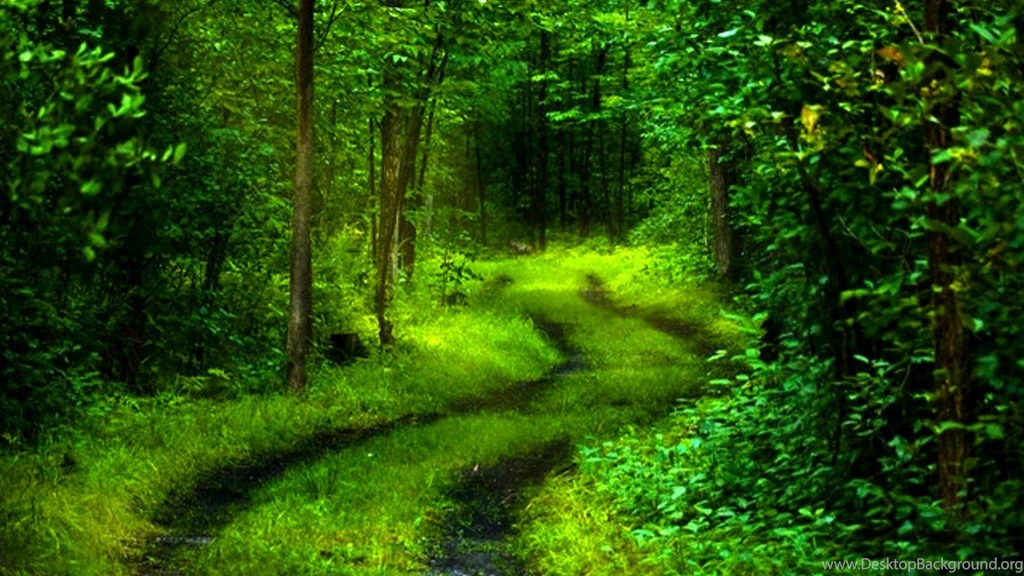 Nature, Hard Work, And Meditative Creativity Golden Age Of Gaia