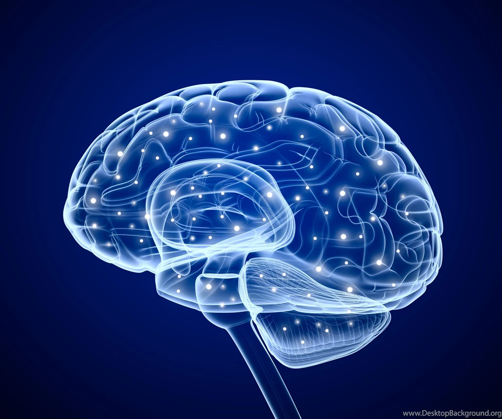 Electrical Brain Signals Wallpapers And Images Wallpapers ...