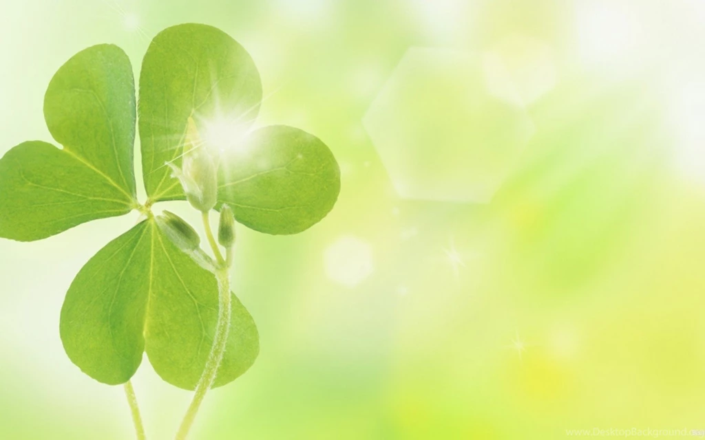 Download Wallpapers 1680x1050 Clover, Green, Plant, Flare, Glare ...