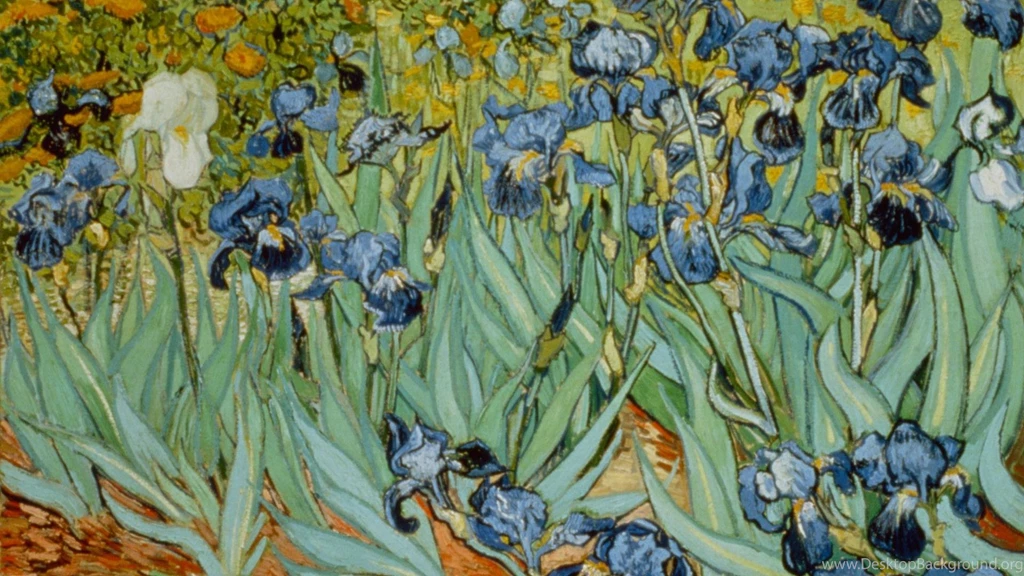 Fine Art Hd Wallpapers   (