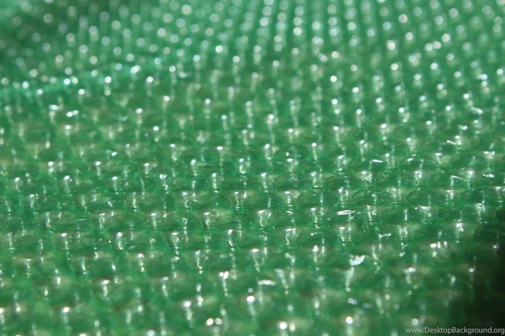 Bubble Wrap Has A Simple Life LessonOIC Moments   OIC Moments