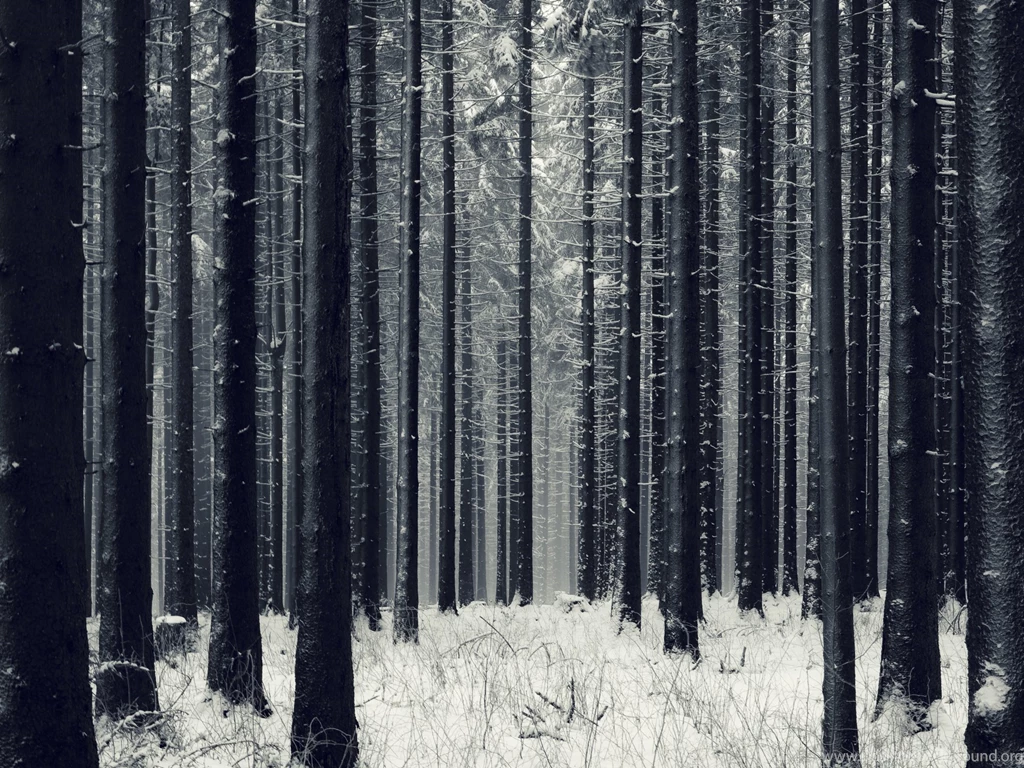 Seasonal Wallpapers