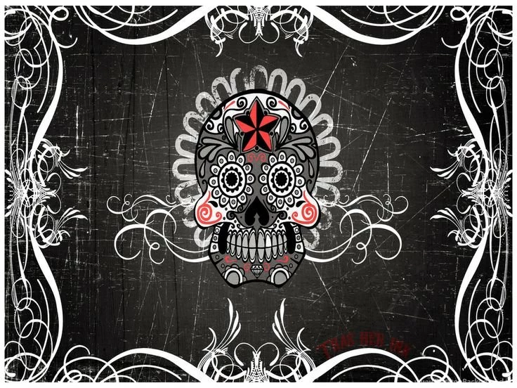 Love Me Some Skulls On Pinterest