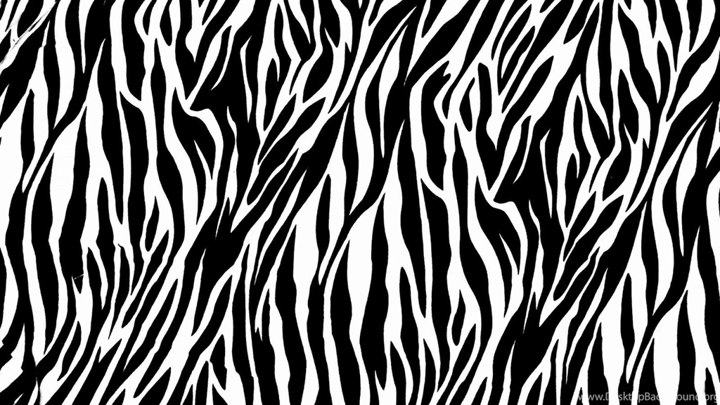 Zebra Desktop Wallpapers   Wallpapers Cave