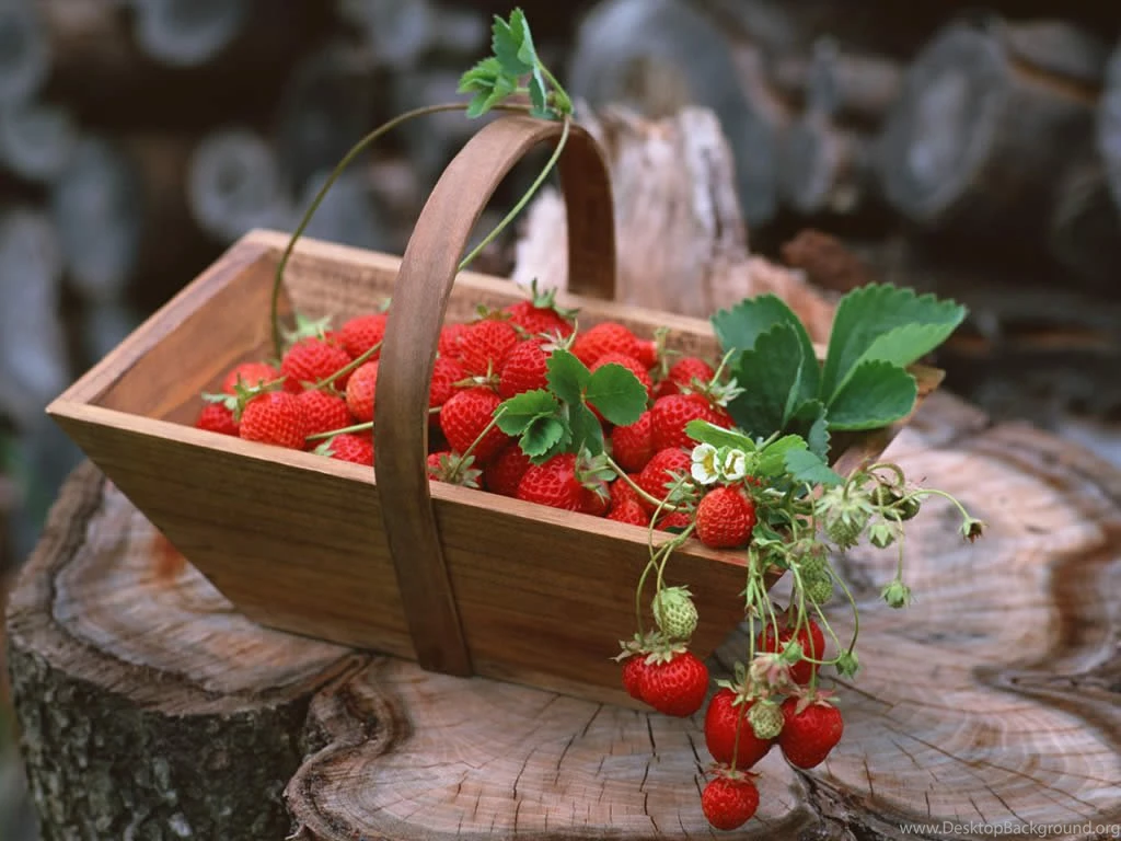 31 HD Strawberry Wallpapers You Will Say "It's Delicious" SparkyHub