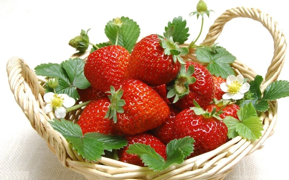 Strawberry HD Wallpapers Download Free