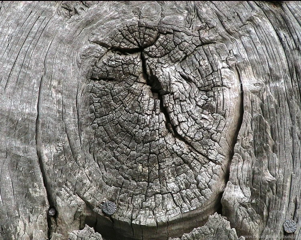 Free Photograph; Weathered, Barn, Wood, Knot