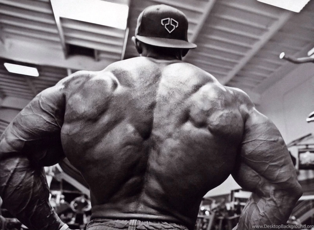 Bodybuilding Computer Wallpapers, Desktop Backgrounds