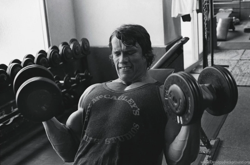 Arnold Schwarzenegger Bodybuilding Sports Wallpaper Backgrounds ...