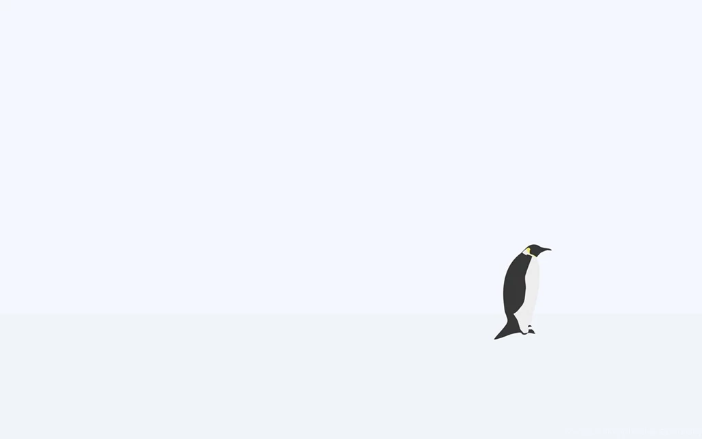 Simple Penguin Wallpaper, HD Wallpapers Downloads