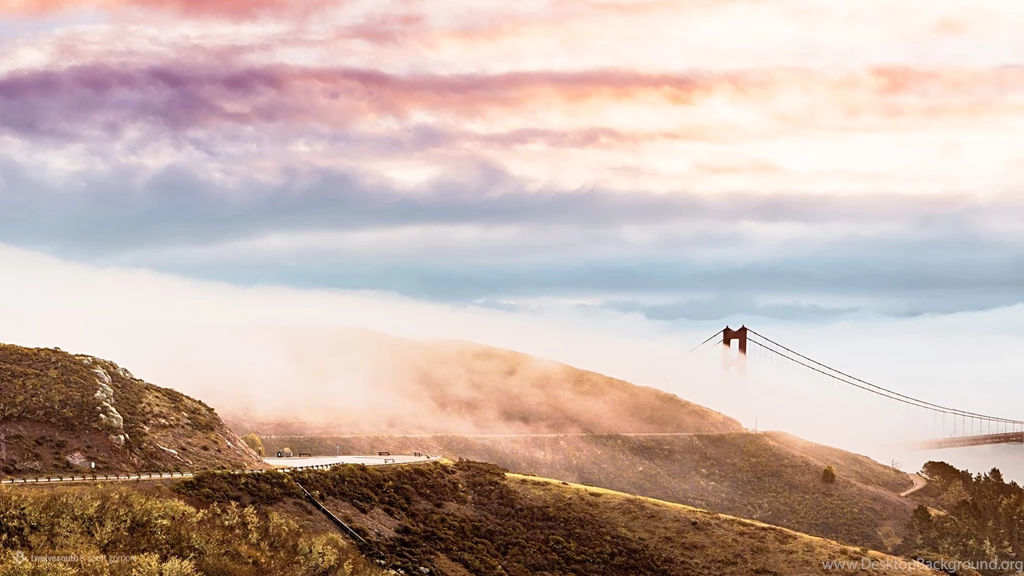 The Best Wallpapers Of The Year