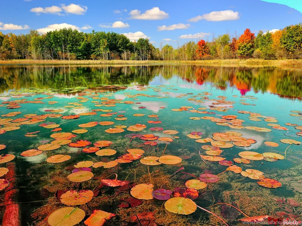 Best Nature Wallpapers For Desktop Backgrounds