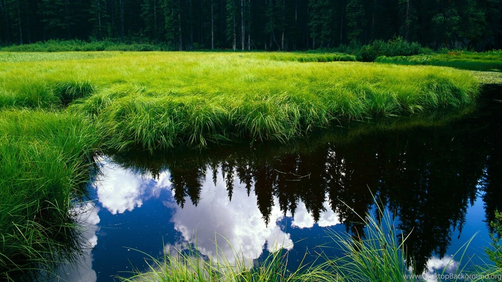 Nature Wallpapers HD Desktop