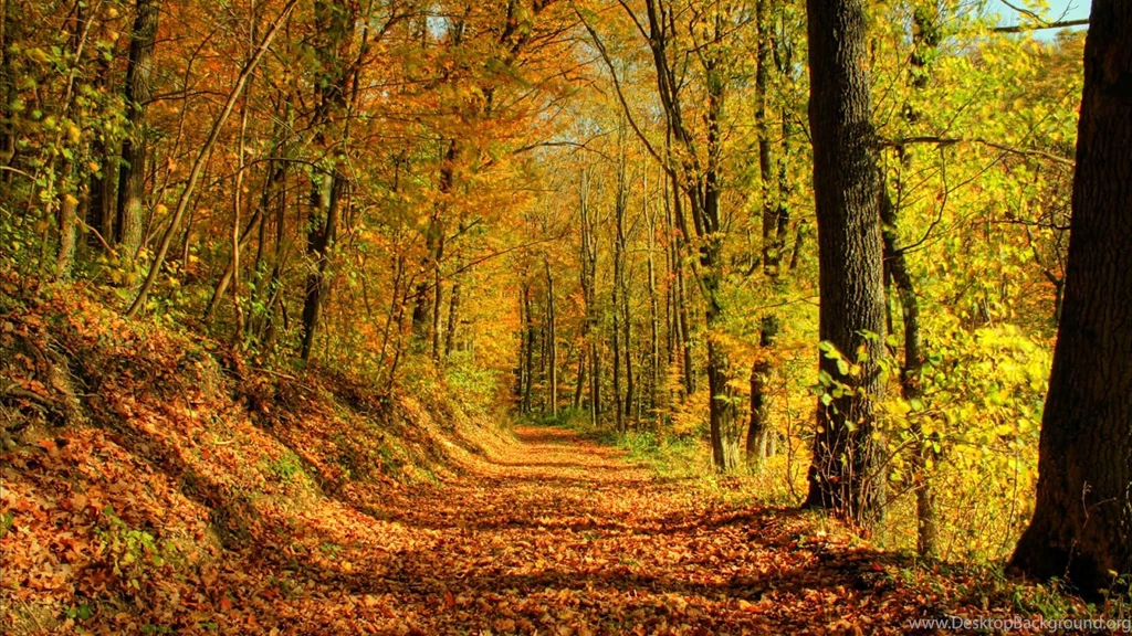 Desktop HD Wallpapers: Top 35 Beautiful And Fabulous Paths ...