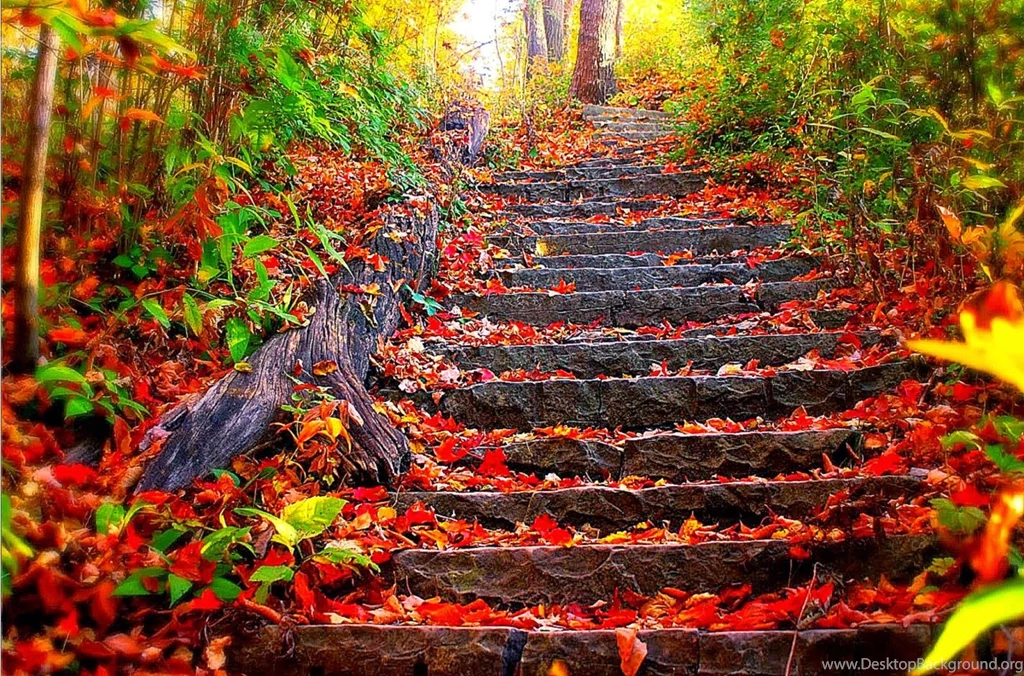Most Beautiful Wallpapers Ever