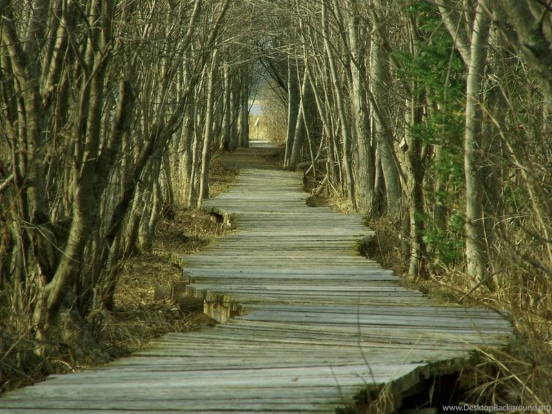 Desktop HD Wallpapers: Top 35 Beautiful And Fabulous Paths ...