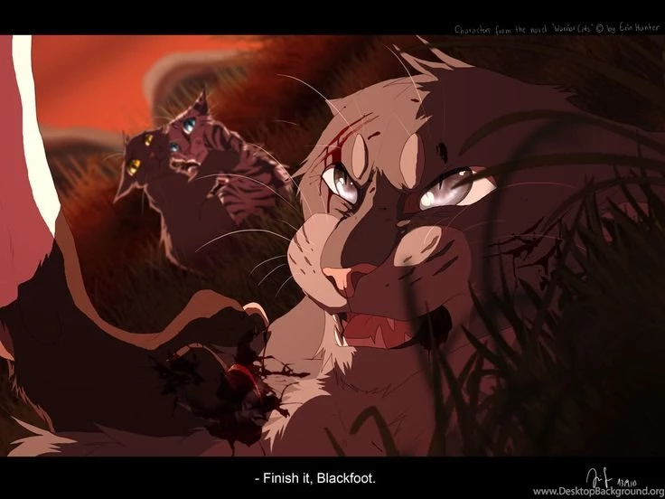 Warrior Cats On Pinterest