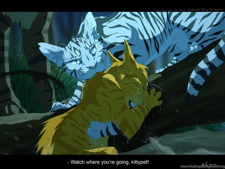 Warrior Cats By Erin Hunter, Art By Mizu no Akira. Longtail ...