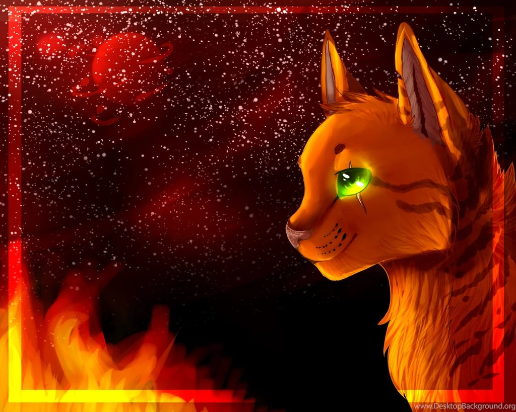 Leafpool's Sadness By Snowmist cat On DeviantArt