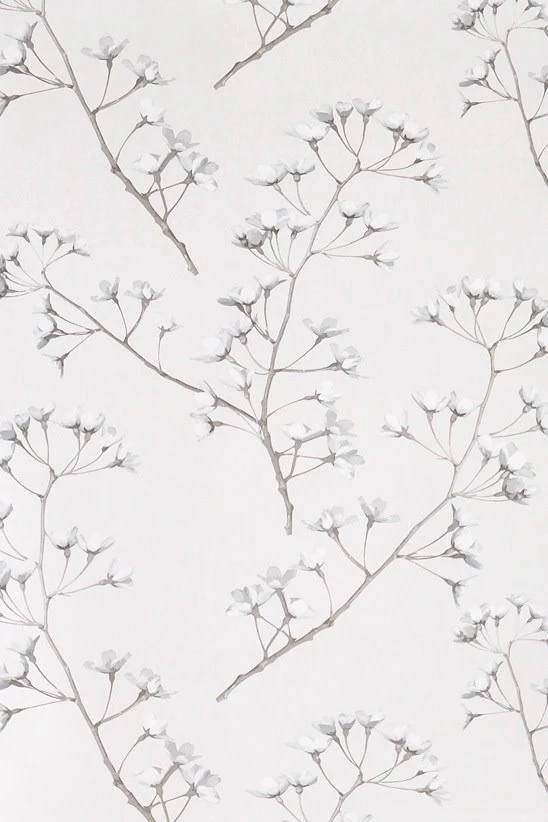 Jocelyn Warner — Wallpapers   Blossom   Samite