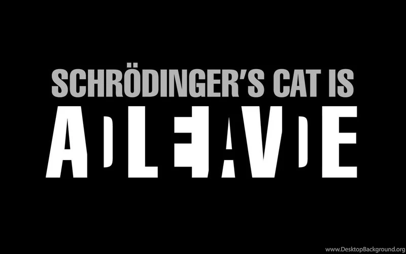 Text,science Science Text Cats Geek Quantum Physics Schrdingers ...