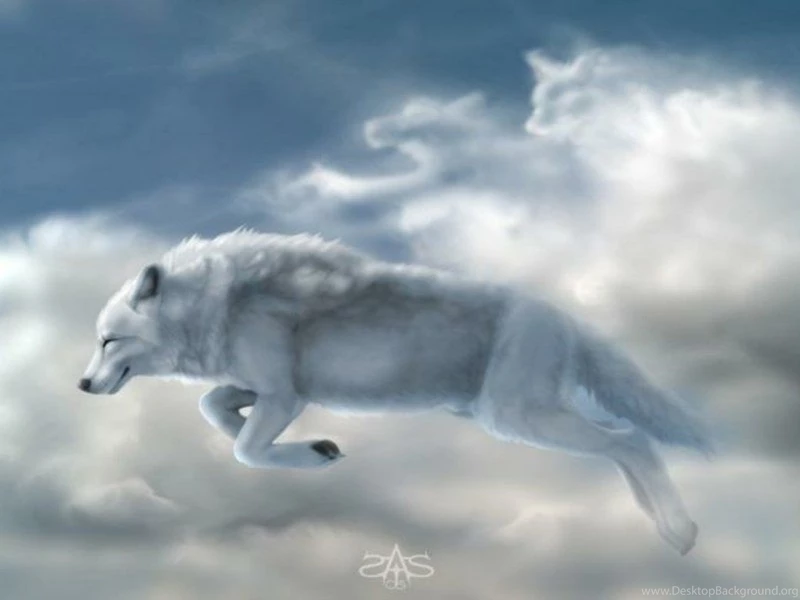 Best Wallpapers & Pictures: World Best HD Wallpapers
