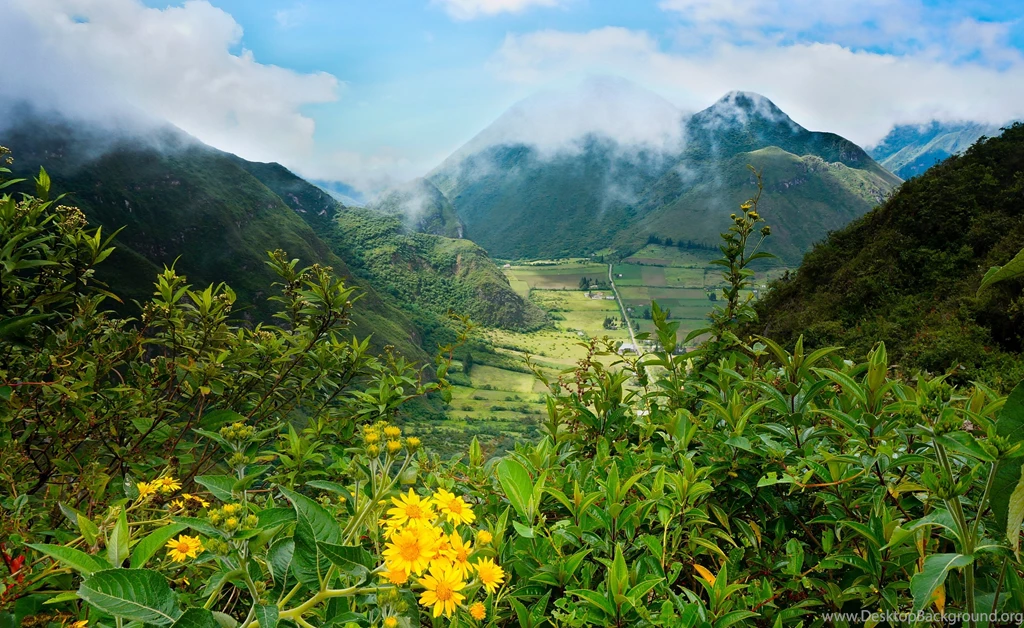 Pululahua Ecuador Landscape Mountains Flower Wallpapers