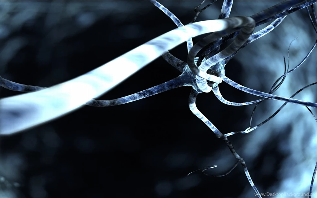 Digital Art Monochrome Neurons Wallpapers (