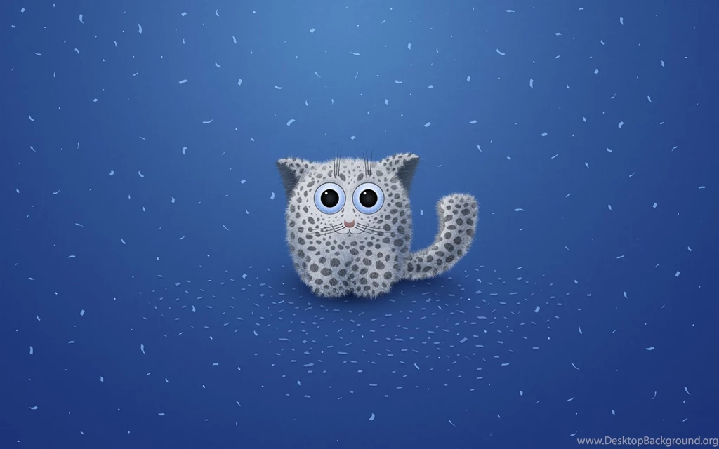 1680x1050 Cool Cat Desktop PC And Mac Wallpapers