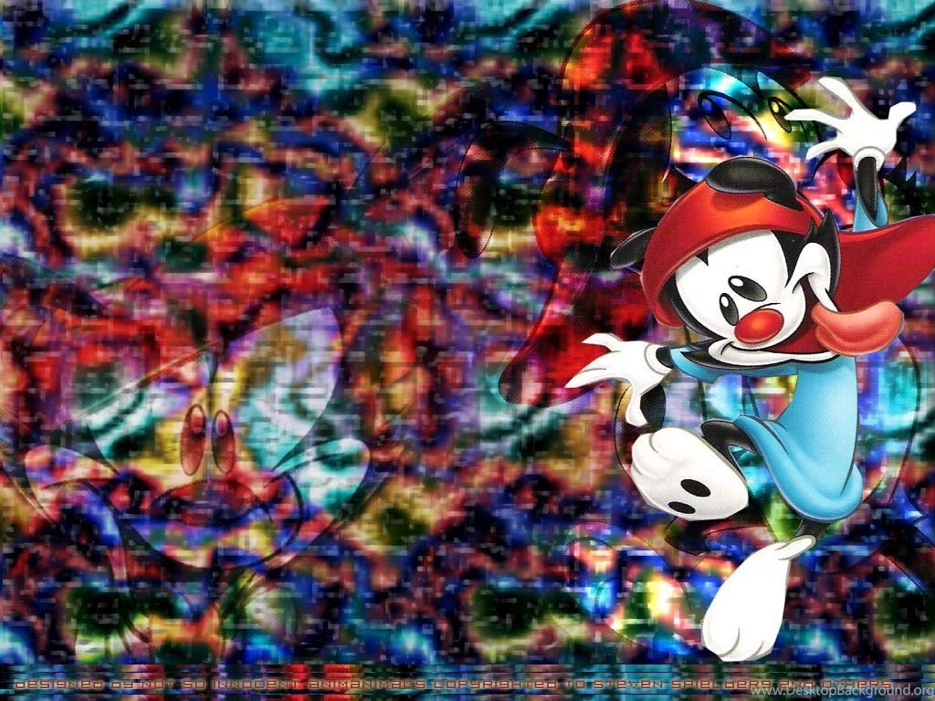 Wakko's Layout Animaniacs Wallpapers (66779) Fanpop