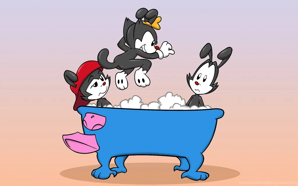Animaniacs Moar 1024×768 Wallpapers 947346