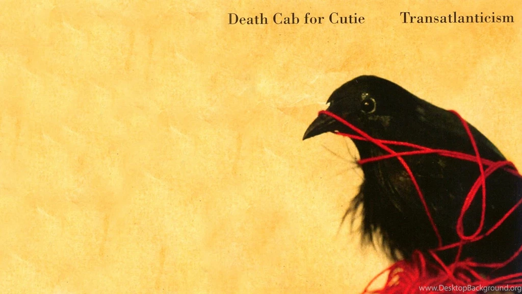 9 Death Cab For Cutie HD Wallpapers
