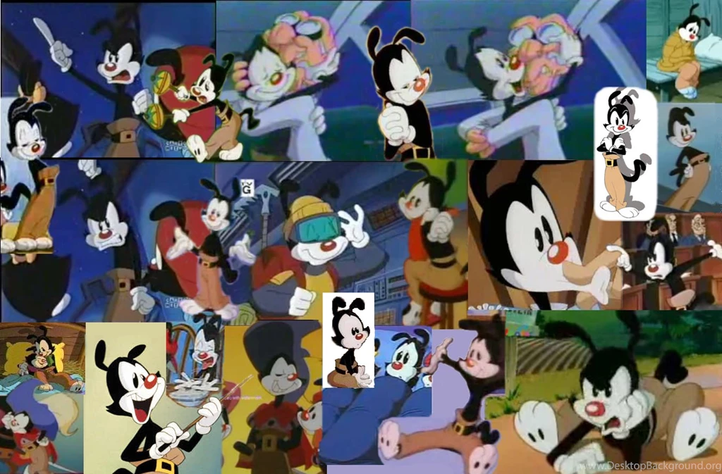 Yakko Collage Wallpapers By Yakko fanclub On DeviantArt