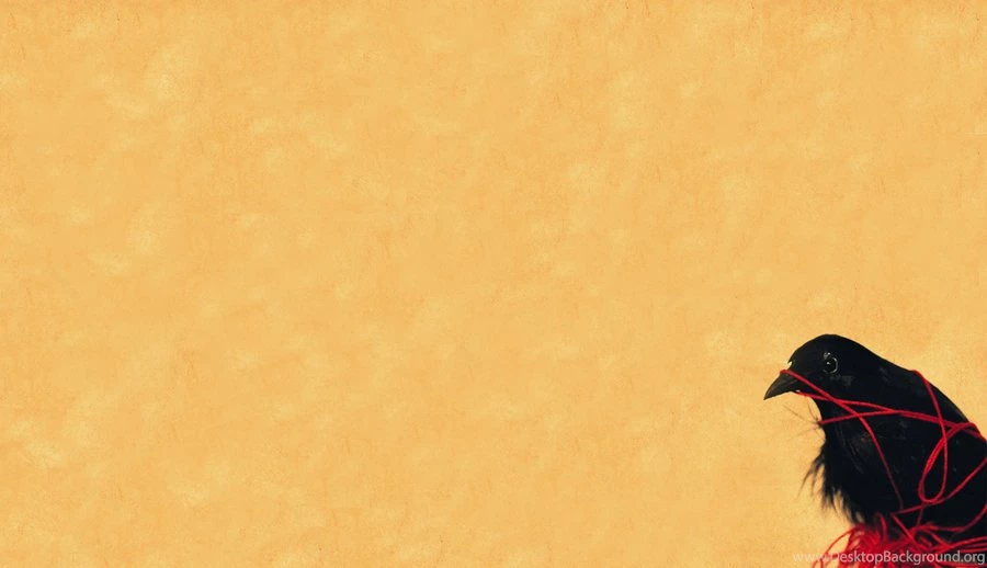 Death Cab For Cutie Reissues Transatlanticism For 10th Anniversary ...