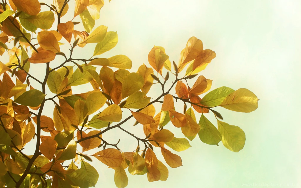 Widescreen Landscape Wallpapers 23235 Wallpapers Landscape ...