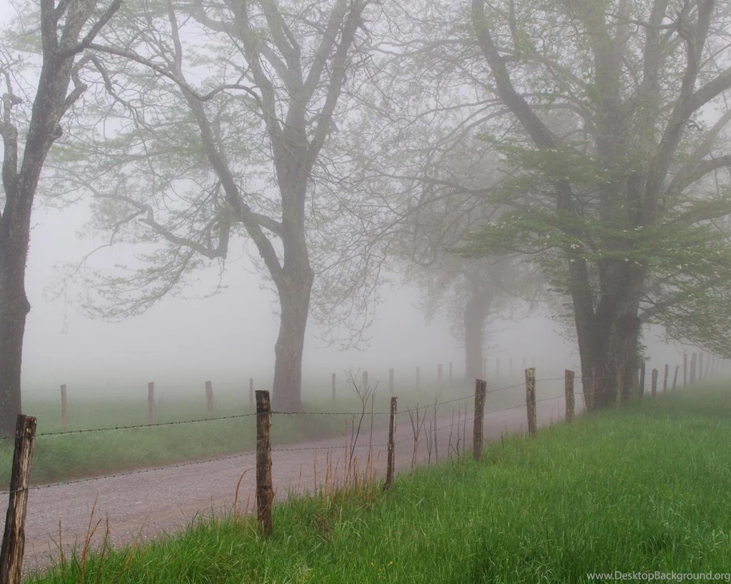 Dark Hair Stars Interfaces Rear View Sports Jerseys Gameboy Color ...