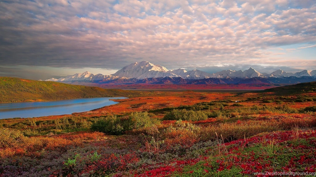 Amazing Denali National Park Wallpapers