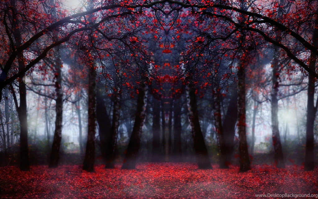 Magical, Forest, Red Leaves HD Wallpapers