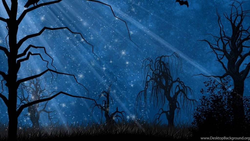 Dark Magical Forest Wallpapers (