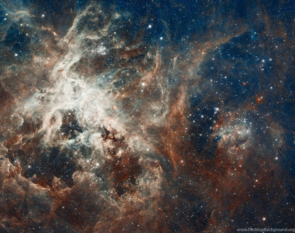 Constellation Gold Fish Wallpapers And Images Wallpapers ...