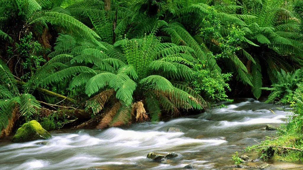 HD Nature Wallpapers For Desktop High Resolution Best HD Desktop ...