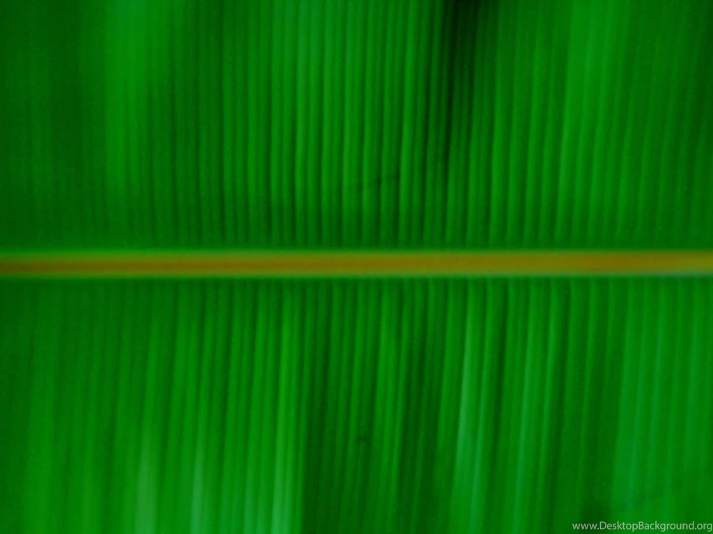 Banana Leaf Food And Drink Wallpapers Image Featuring Fruit