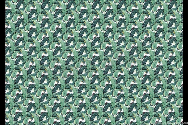 Banana Leaf Wallpapers Mural