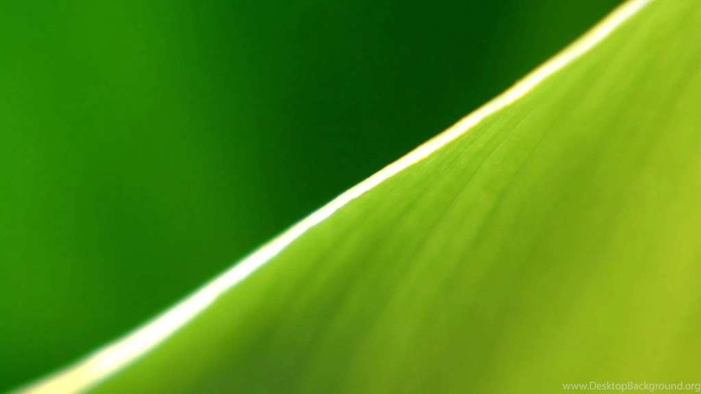 Macro Banana Leaf Wallpapers HD, HD Desktop Wallpapers