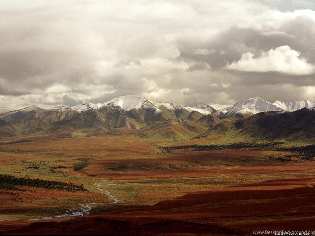 Desktop Wallpapers » Natural Backgrounds » Fall Tundra, Denali ...