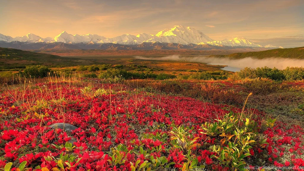Alaskan Tundra : Wallpapers