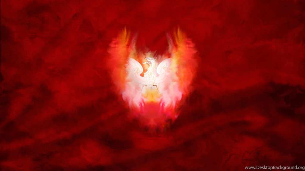 Eagles Poland Orzeł Polski Polish Eagle Wallpapers