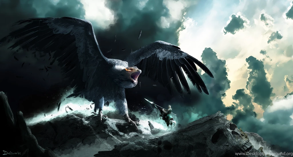 30 Bird HD Wallpapers