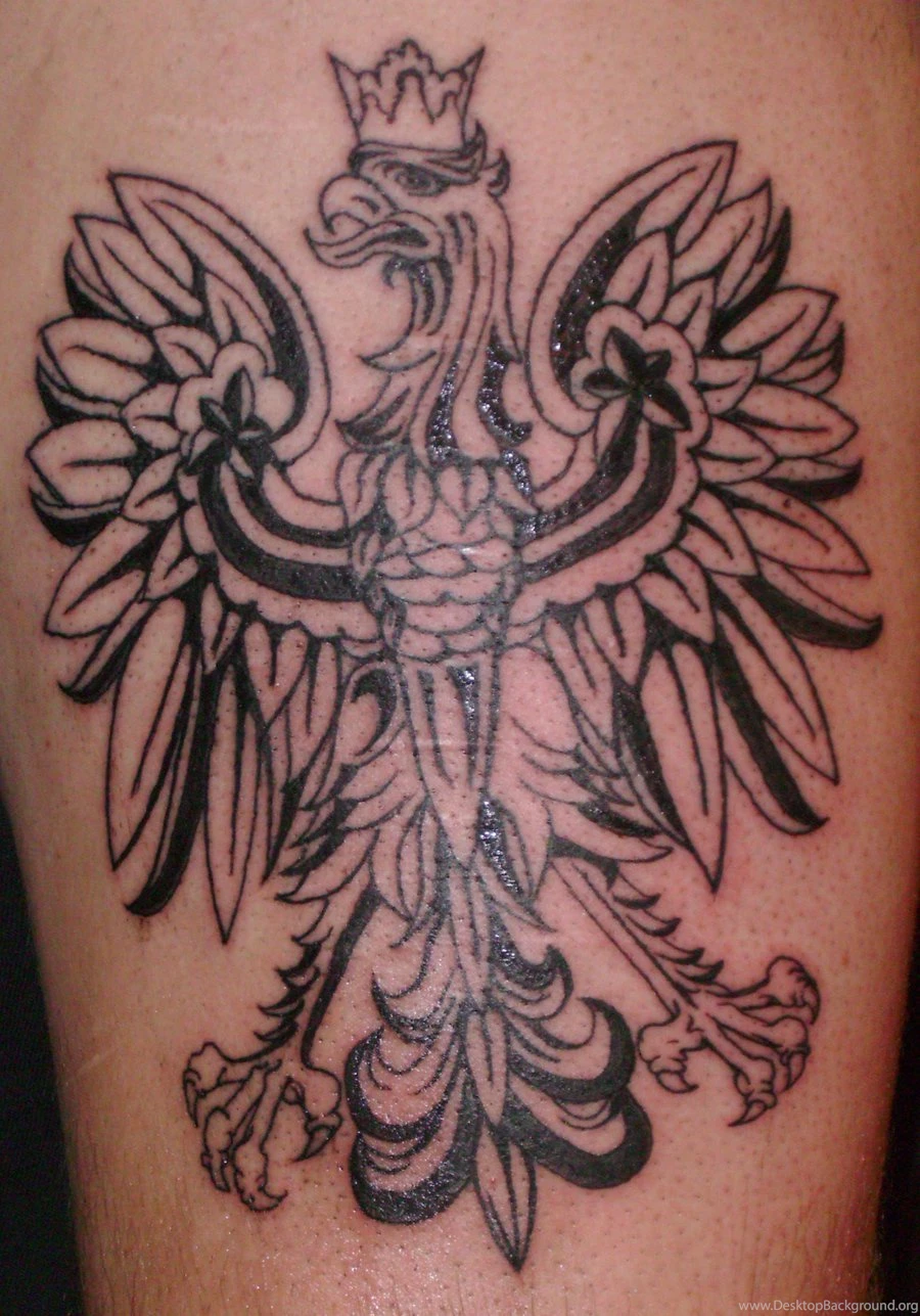 Polish Eagle By QueenMab6 On DeviantArt